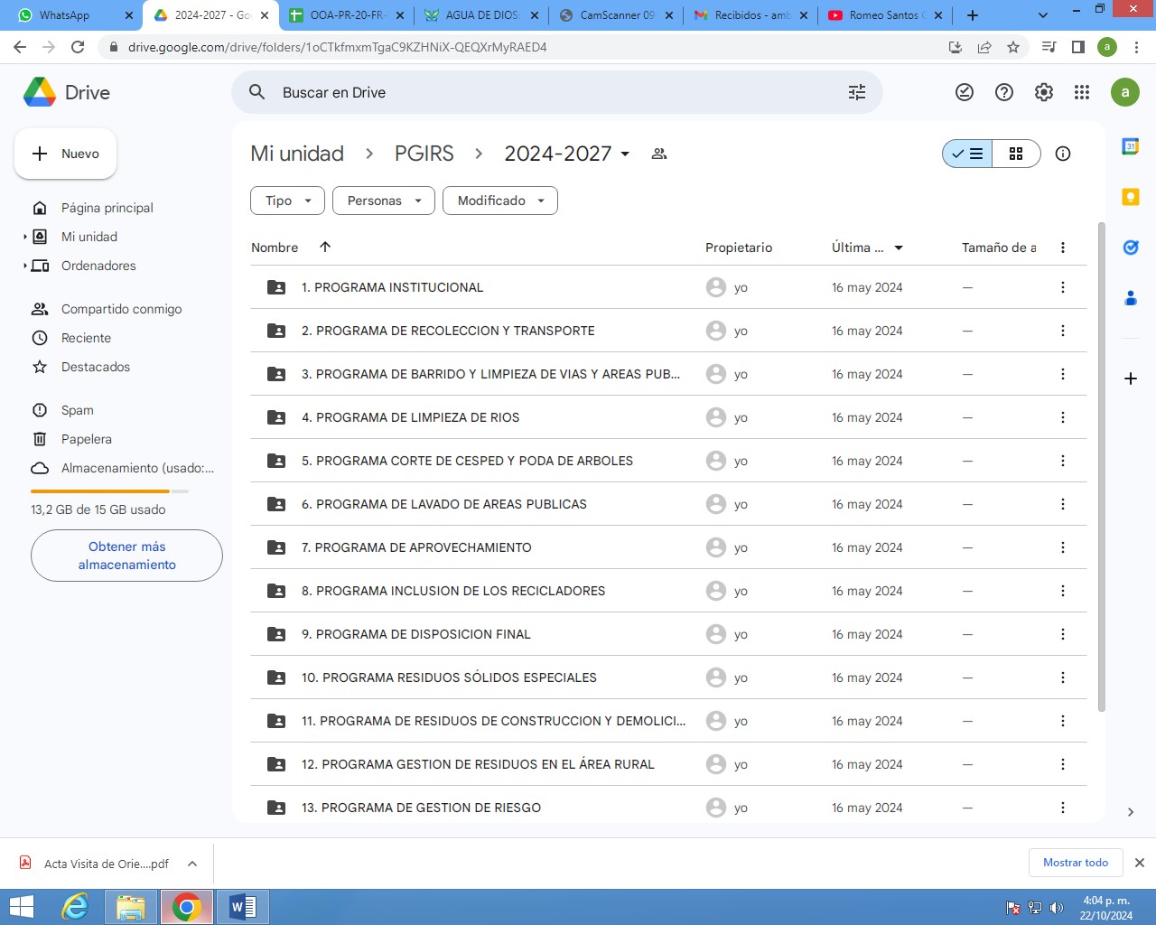 Adjunto DRIVE PGIRS.jpg