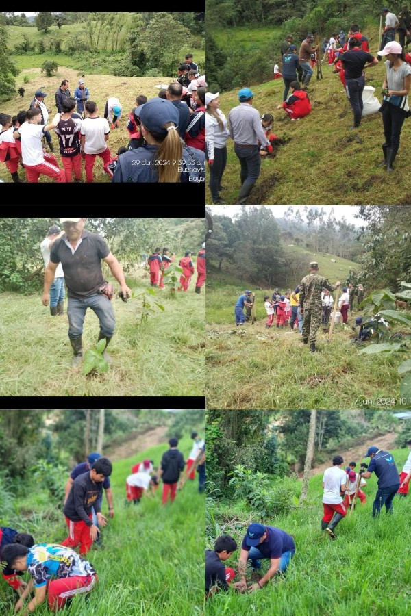 Adjunto REFORESTACIÓN.jpg