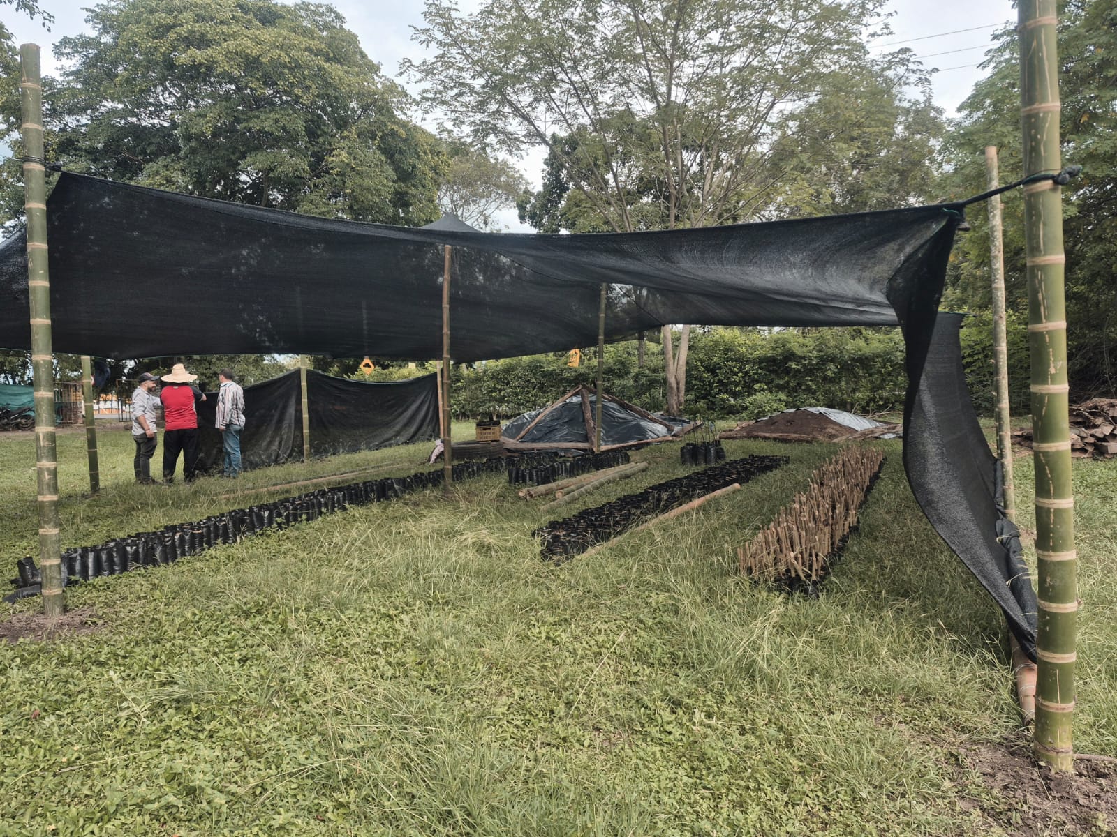 Adjunto WhatsApp Image 2025-12-30 at 11.02.27 AM.jpeg