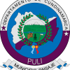 Imagen de Municipio de Puli