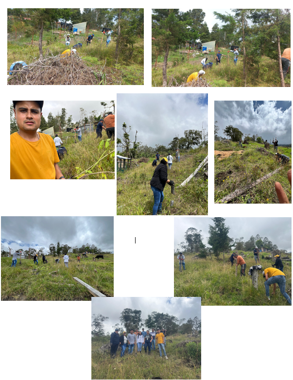 Adjunto REFORESTACIÓN COLEGIO JMSS 03-09 8AM.png