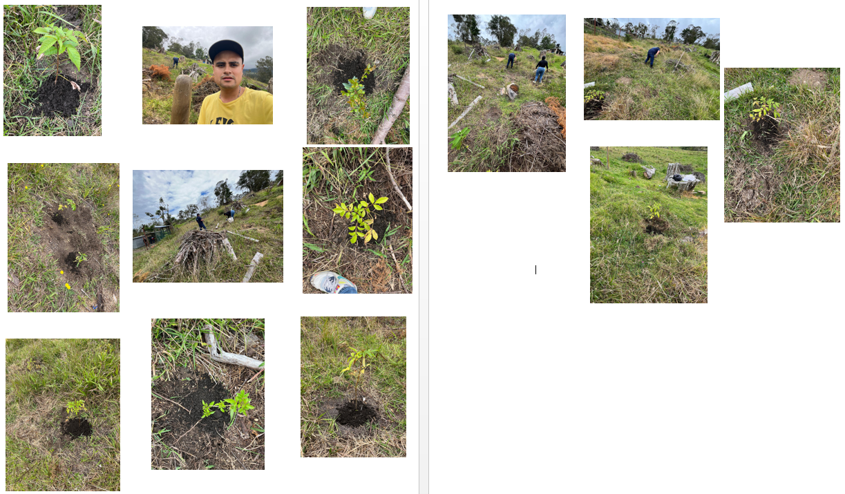 Adjunto MANTENIMIENTO PREDIO REFORESTADO JMSS..7OCT.jpeg.png