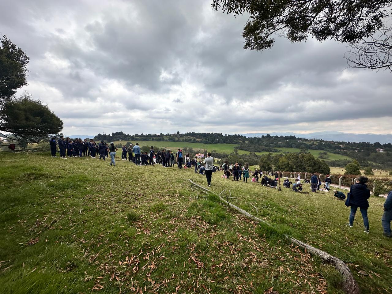 Adjunto WhatsApp Image 2025-03-17 at 3.31.51 PM (2).jpeg