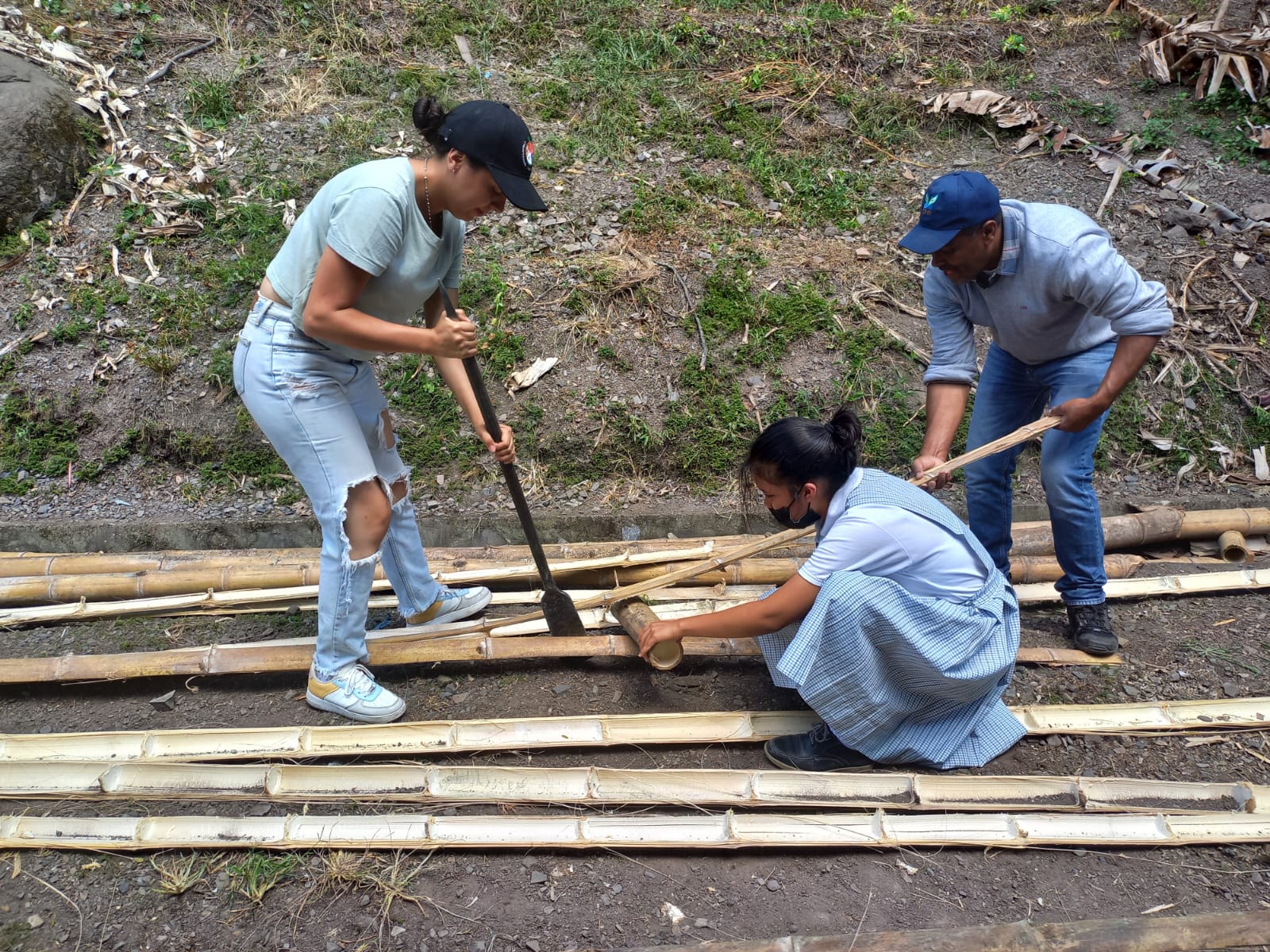 Adjunto WhatsApp Image 2023-06-16 at 1.02.31 PM.jpeg