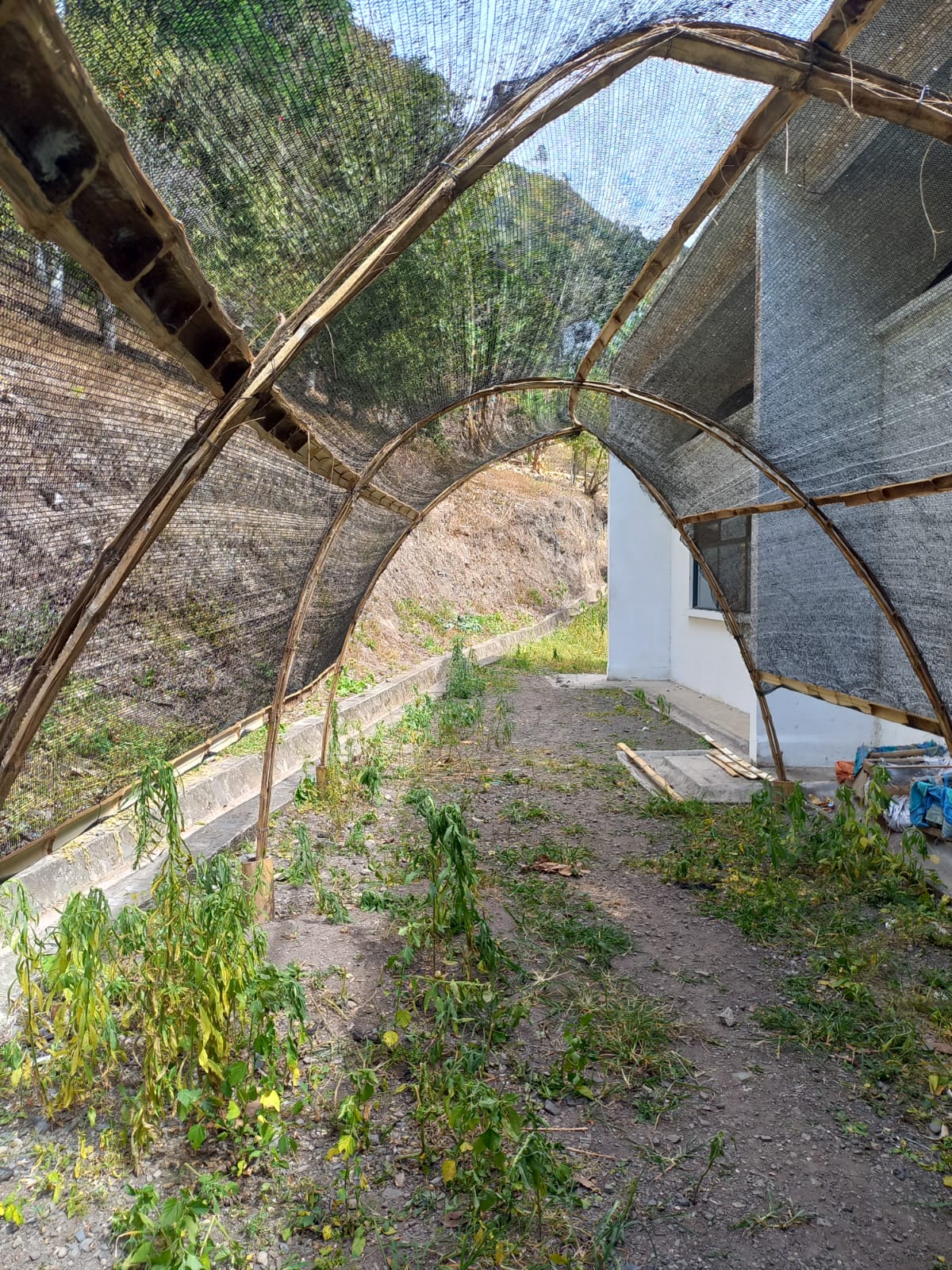 Adjunto WhatsApp Image 2023-10-25 at 8.42.48 AM.jpeg