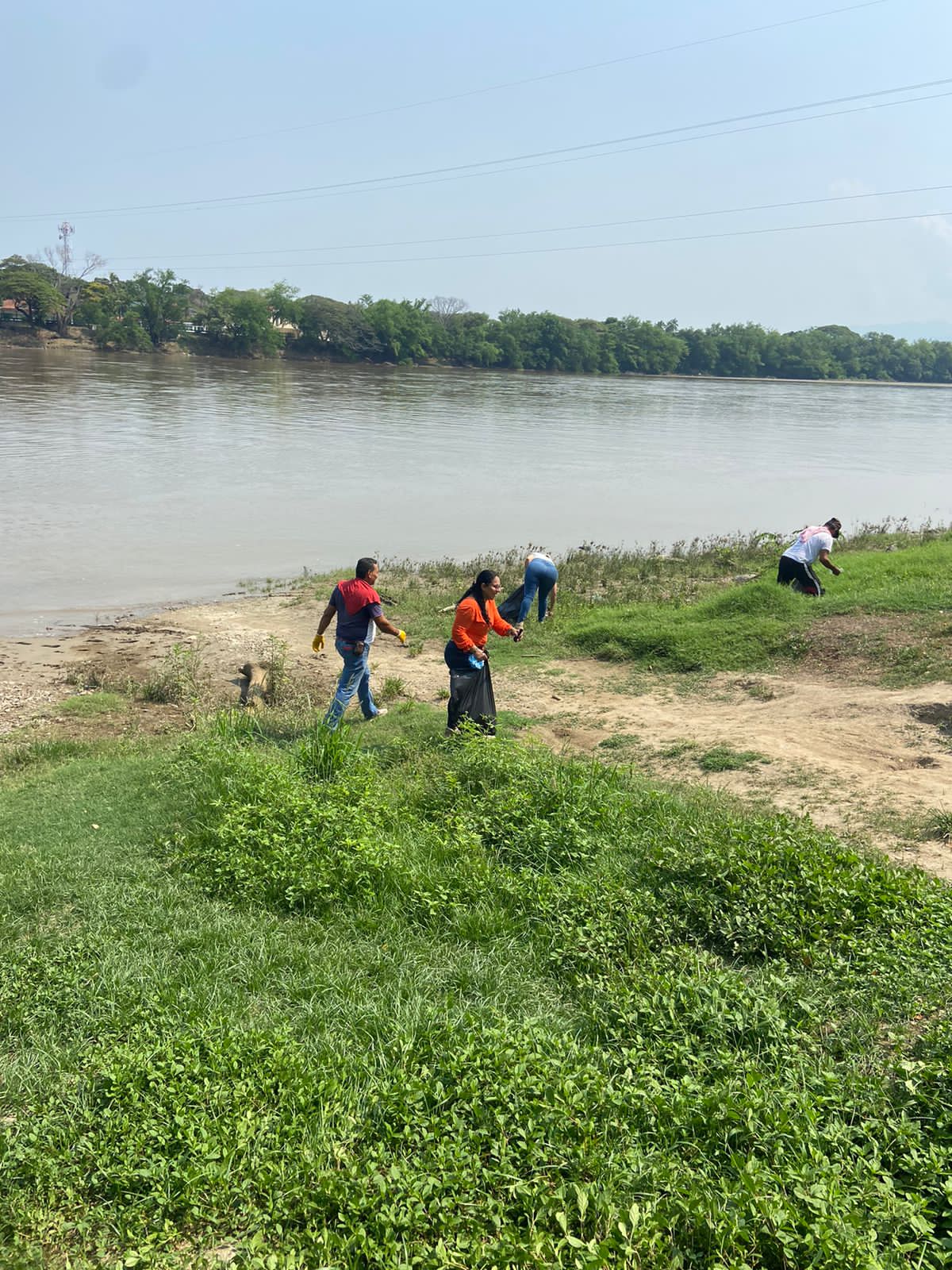 Adjunto WhatsApp Image 2024-04-30 at 12.13.59 PM (3).jpeg