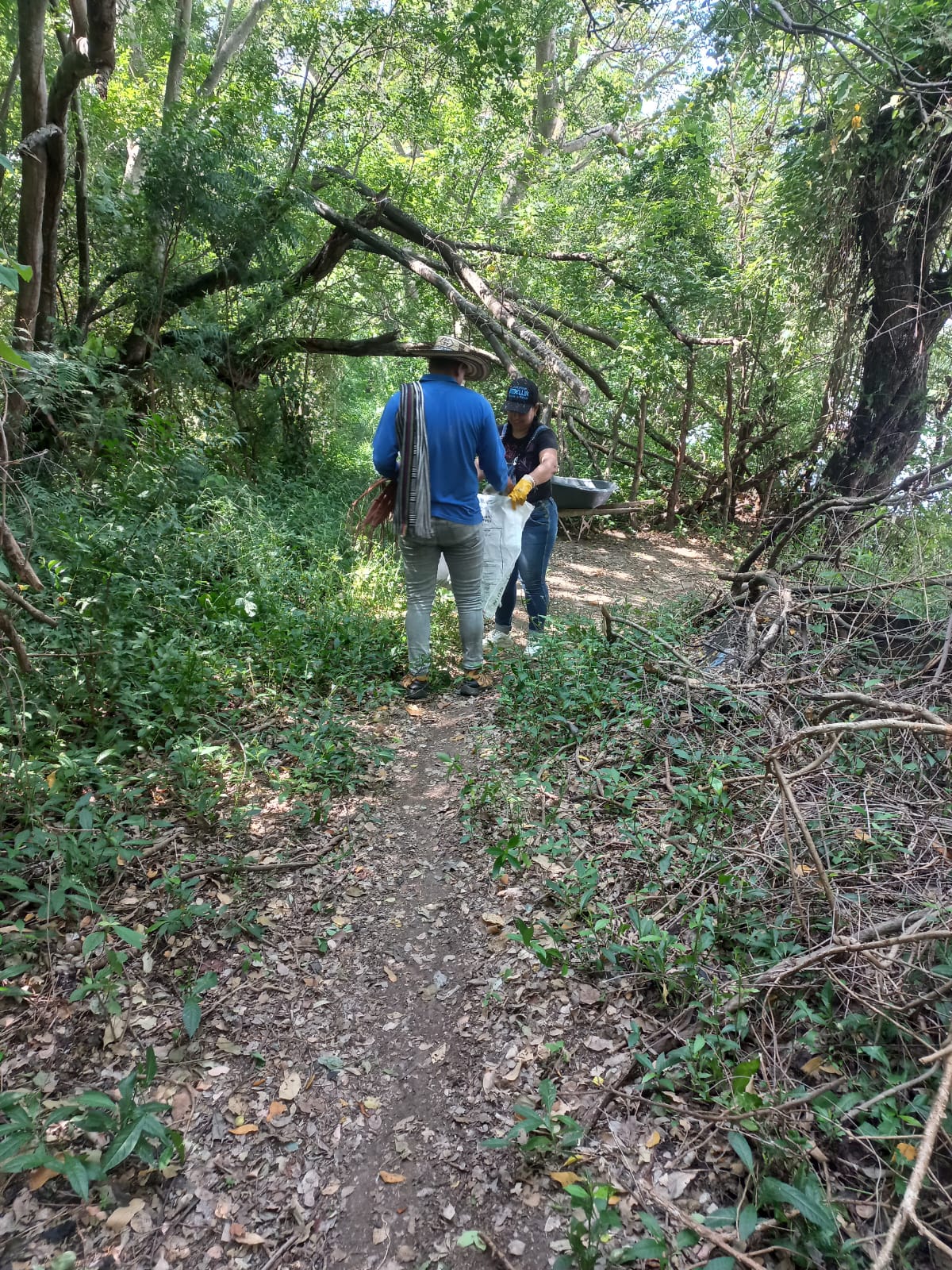 Adjunto WhatsApp Image 2024-05-31 at 2.19.10 PM (1).jpeg