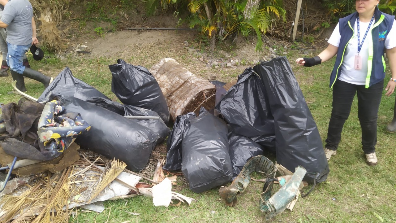 Adjunto Jornada de Limpieza 1.jfif