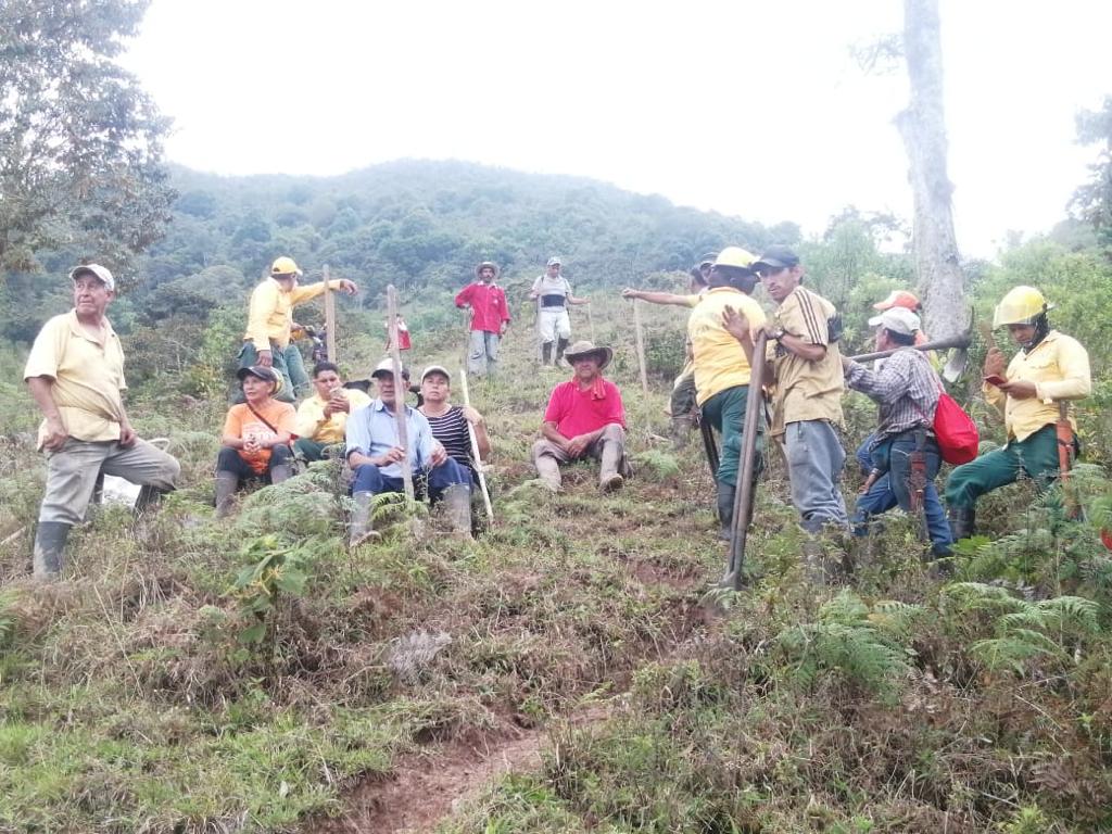 Adjunto Siembra Quebrada Guaté.jfif
