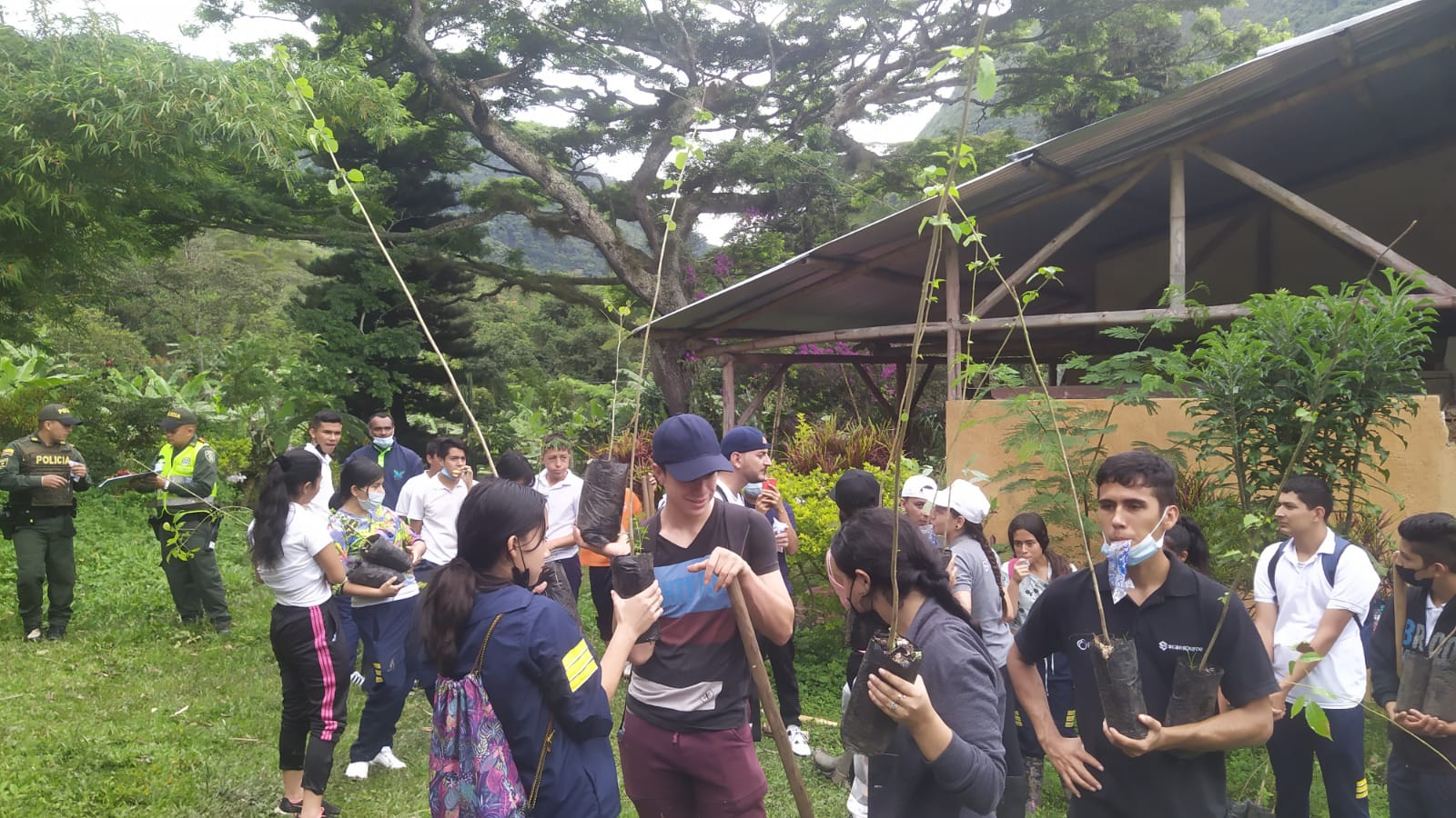 Adjunto Siembra finca Guadualito 2.jfif